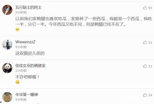 娱乐吃瓜语音在线听,跟随“吃瓜语音”在线聆听娱乐圈最新动态