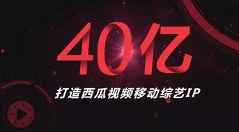 娱乐吃瓜字幕怎么制作