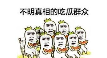 吃瓜群众还可以怎么说,网络时代的围观者众生相