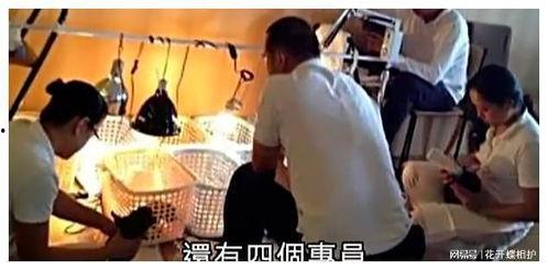 娱乐圈现场吃瓜是真的吗,真相还是谣言？