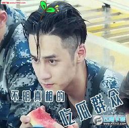 吃瓜群众图片动态表情图大全,趣味横生的动态表情图大全